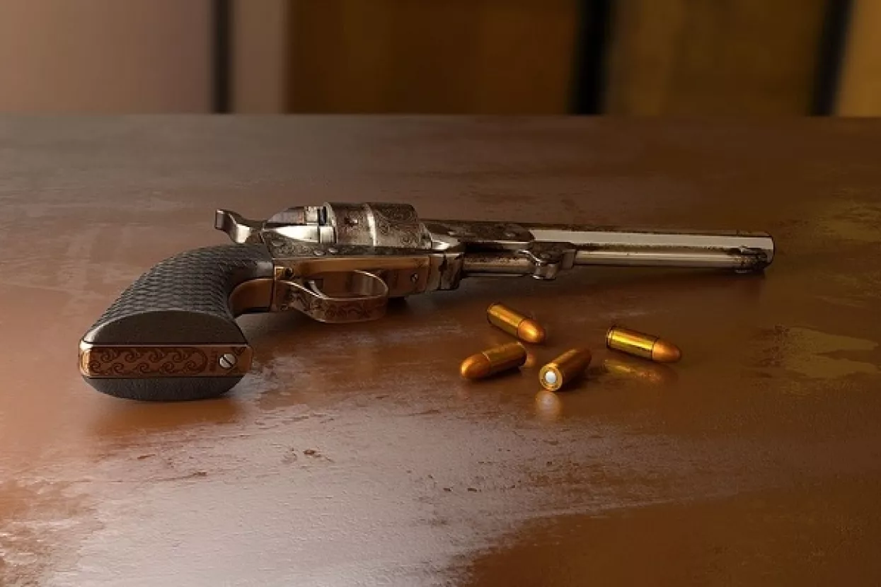 Obiteljski liječnici ne žele kontrolirati zdravlje vlasnika oružja - previše ih opterećuje