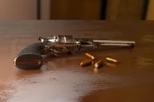 Obiteljski liječnici ne žele kontrolirati zdravlje vlasnika oružja - previše ih opterećuje