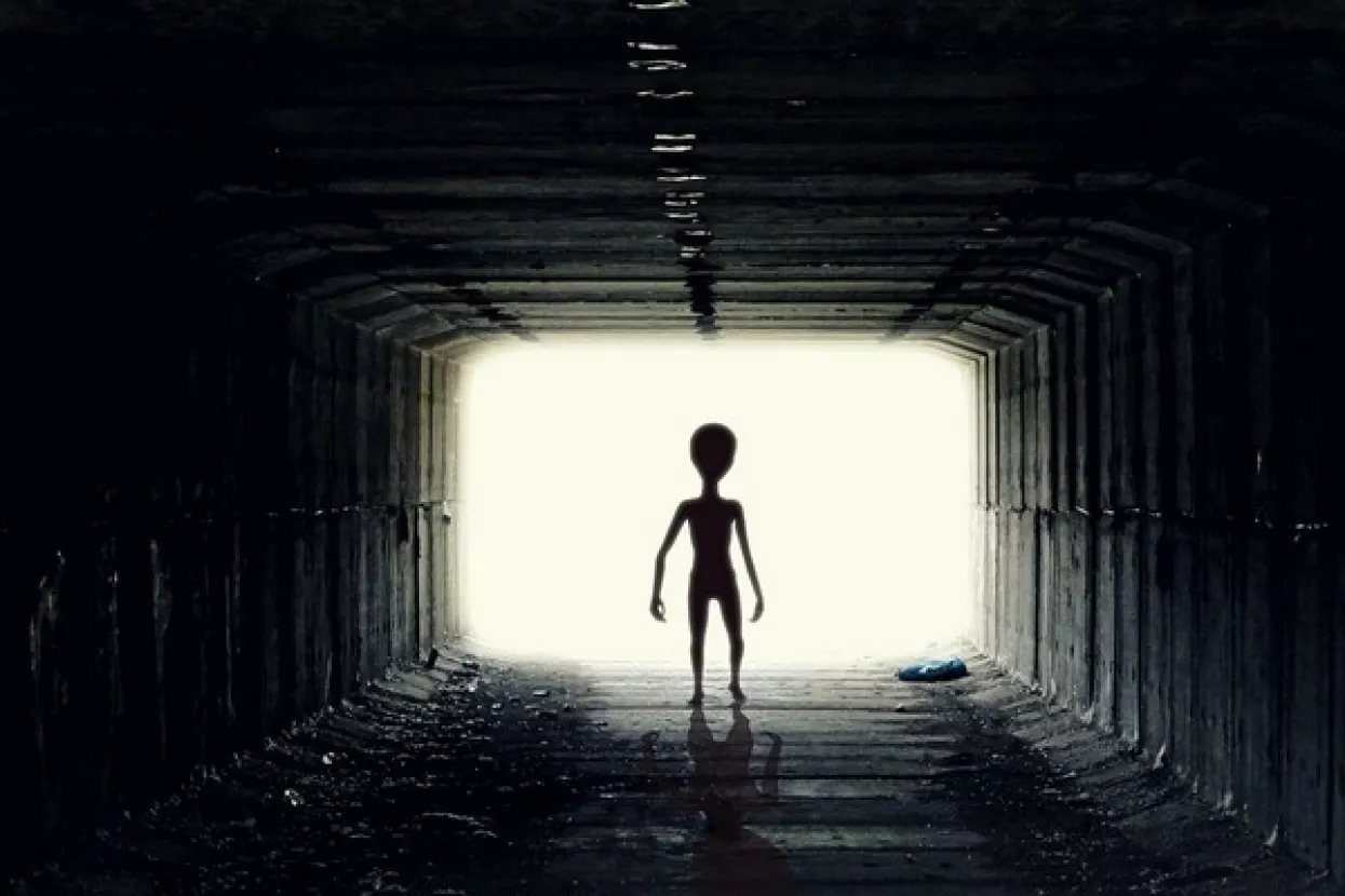 Brexitovci i trumpovci najzagriženiji u teorije zavjere