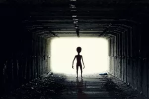 Brexitovci i trumpovci najzagriženiji u teorije zavjere