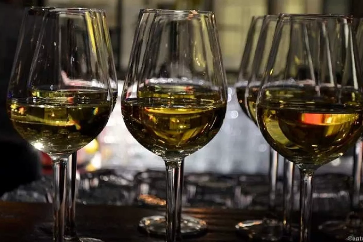 cargo-partner održao tradicionalnu godi&scaron;nju proslavu za poslovne partnere