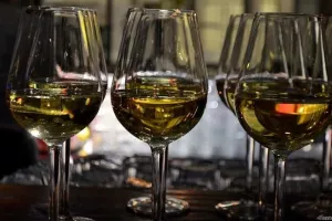 cargo-partner održao tradicionalnu godišnju proslavu za poslovne partnere