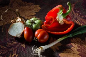 Održan 5. HR eko forum: Biointenzivna poljoprivreda za održivu budućnost