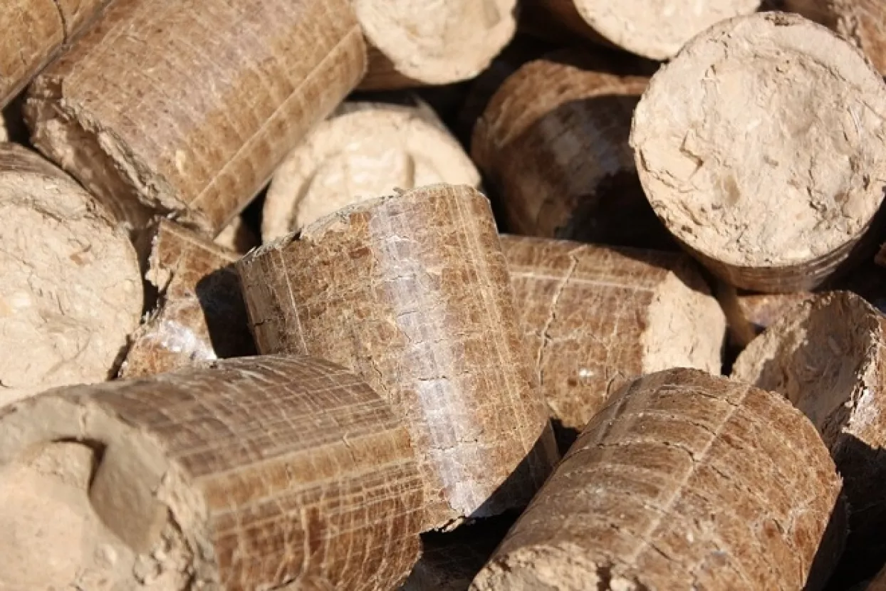 Izgradnja tvornice peleta u Delnicama u završnoj fazi