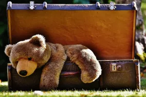 Pravda za sve: Kad na računu piše 'razna roba', to je varanje države