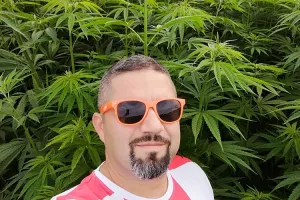 Hoće li se u Hrvatskoj saditi i kanabis? Hrvatski proizvođači ne bi imali ništa protiv