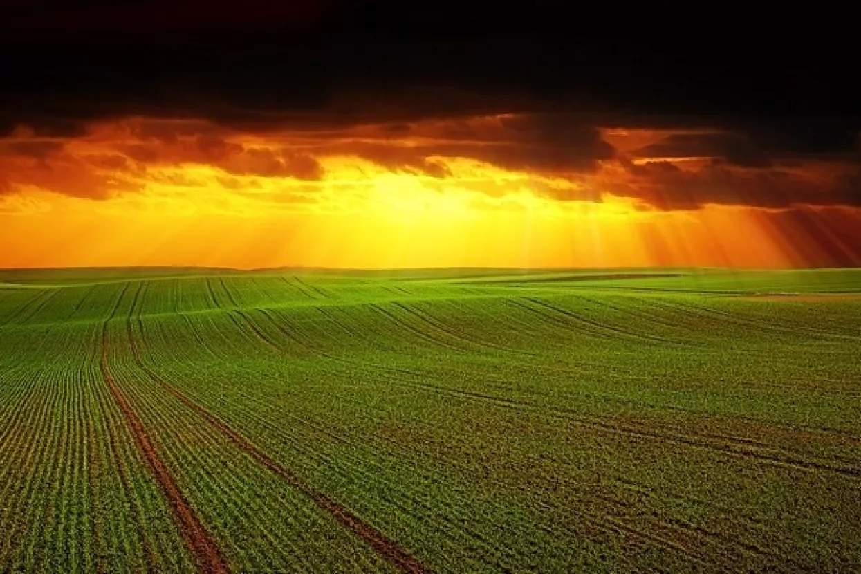 Recesija u Europi mogla bi dovesti do rekordnog rasta cijena zlata