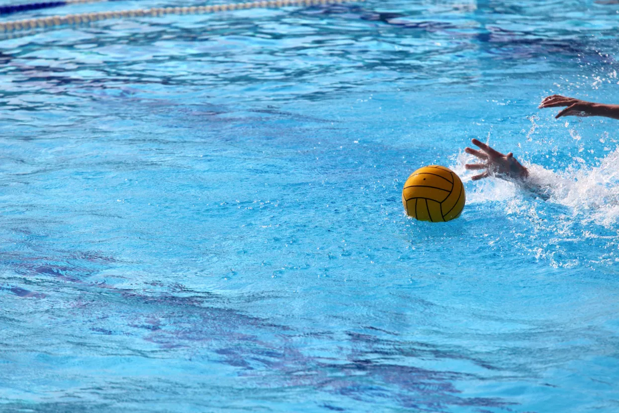 Edis Felić: Zbog napada na Zvezdine vaterpoliste poduzetnik ostao bez posla u Srbiji 