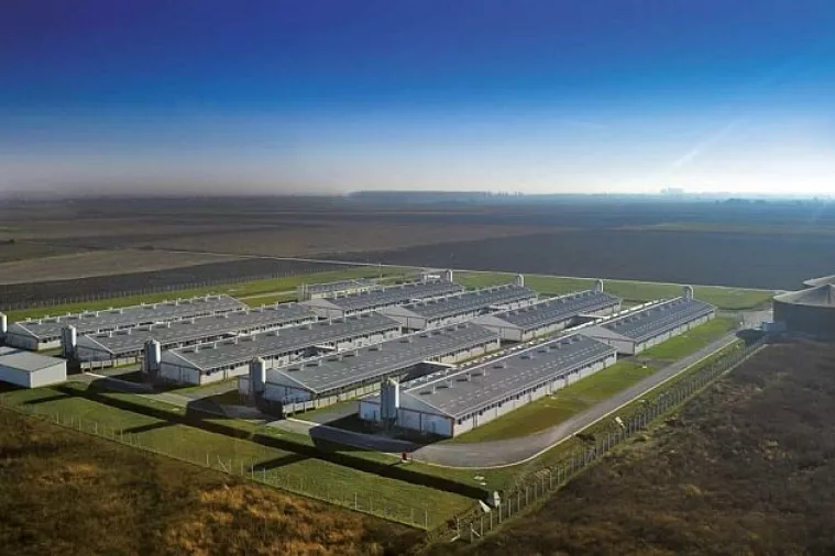 Većina Agrokorovih tvrtki s burze kasni s godišnjim financijskim izvještajima