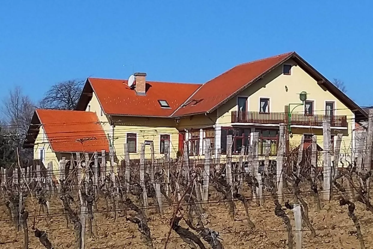 Turistički novinari u Kutjevu: I biciklom se može u berbu