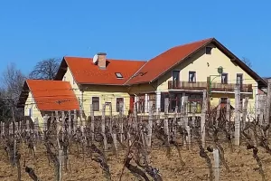 Turistički novinari u Kutjevu: I biciklom se može u berbu