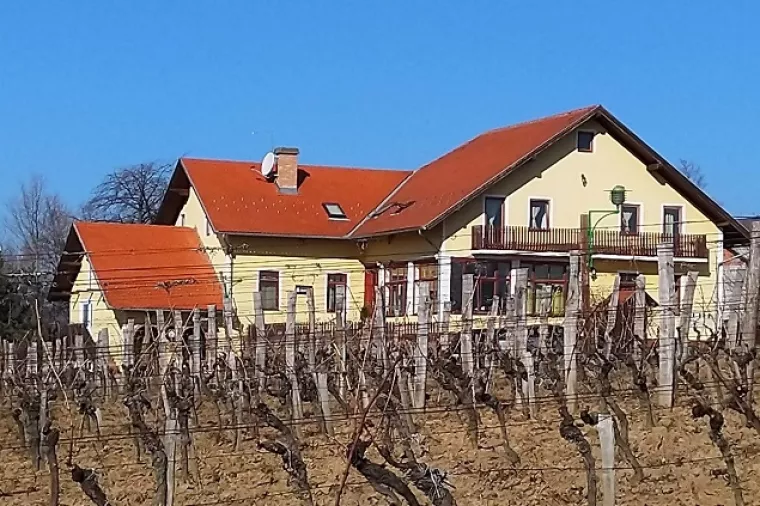 Turistički novinari u Kutjevu: I biciklom se može u berbu