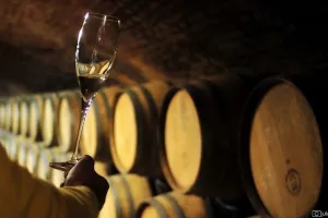 Natječaj otvoren: Za promidžbu hrvatskih vina na tržištima trećih zemalja 250 tisuća eura