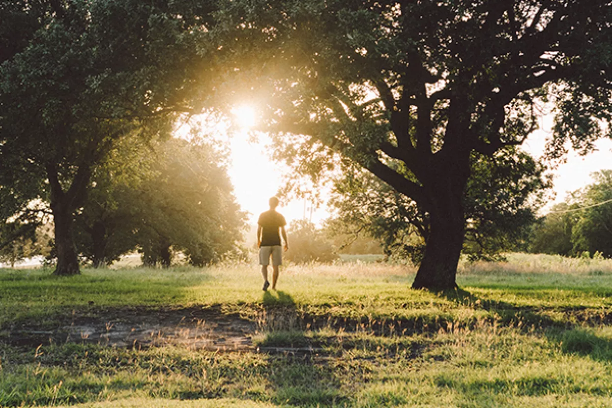 Priče iz Irske: Zdravstvena strategija pazi na radne uvjete i seksualni život građana