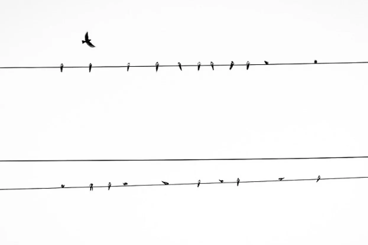 Strujna diskriminacija: Cvjećar za 12 kvadrata platio struju 800 kuna - prije poskupljenja