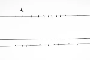 Strujna diskriminacija: Cvjećar za 12 kvadrata platio struju 800 kuna - prije poskupljenja