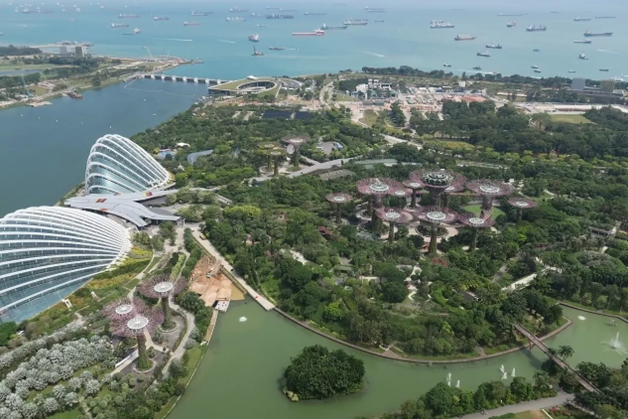 Dino Dogan: Da nije bilo dugoročnog planiranja, Singapur bi i danas bio siromašan