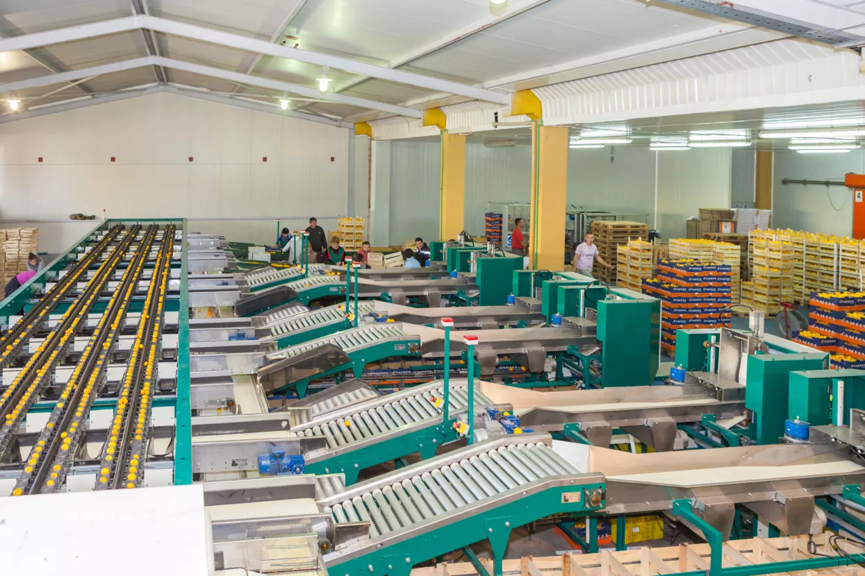 Tvrtke i karijere: Promjene u Dogusu, Vagrosu Zagreb, Pastor inženjeringu...