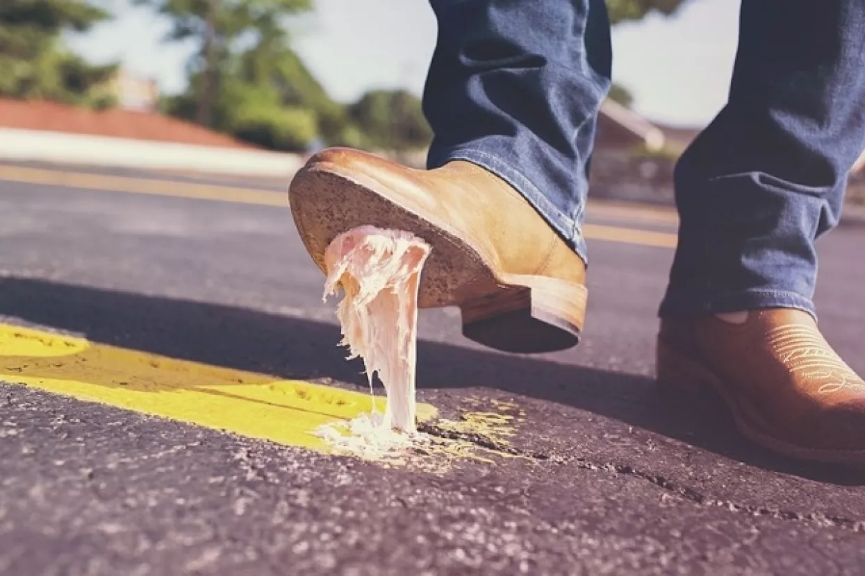 Edis Felić: Nije fer savjetovati nekomu da se okoristi tuđom mukom