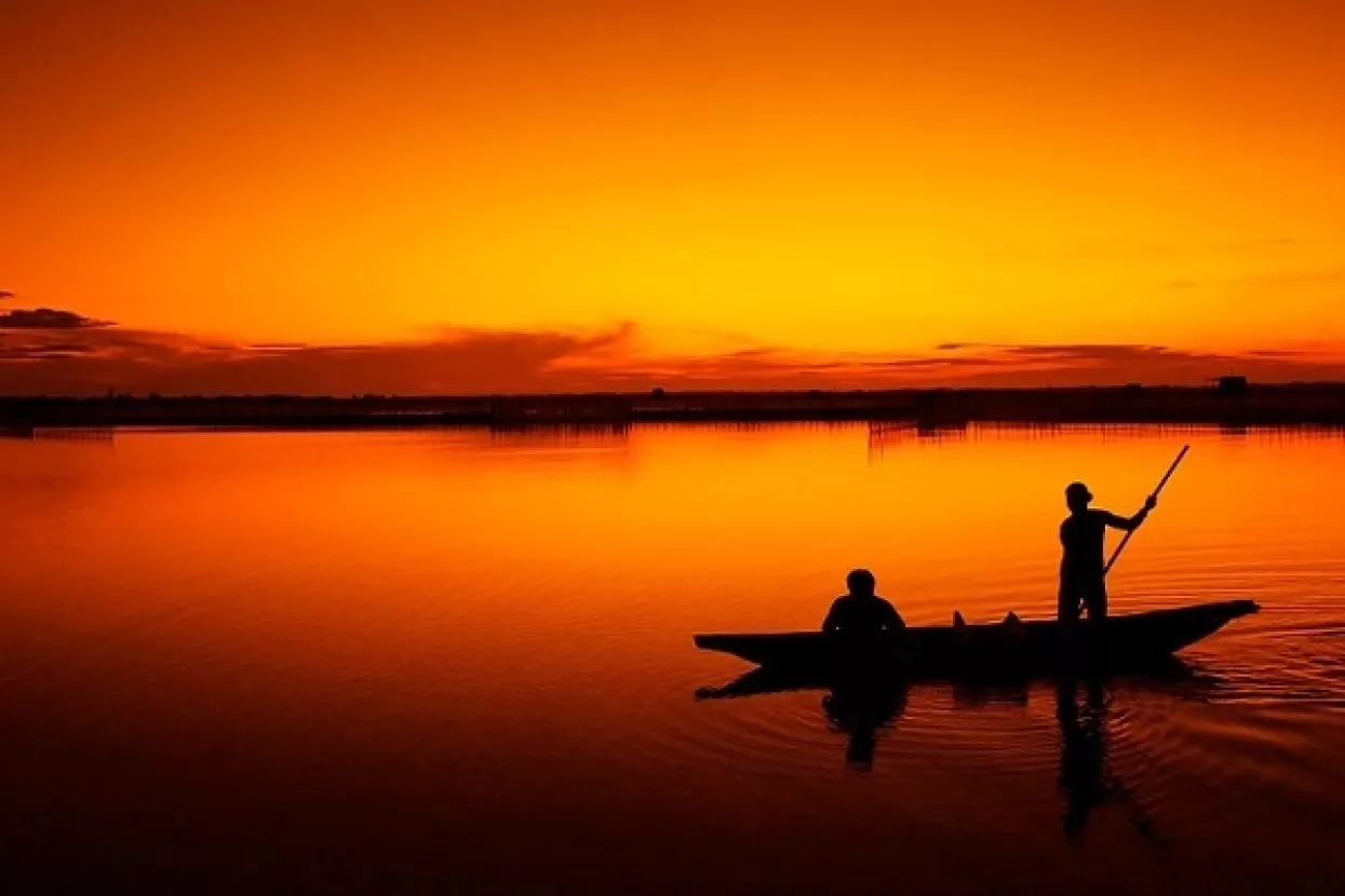 Riblje brašno zadržat će višu cijenu, raste i cijena sojine sačme