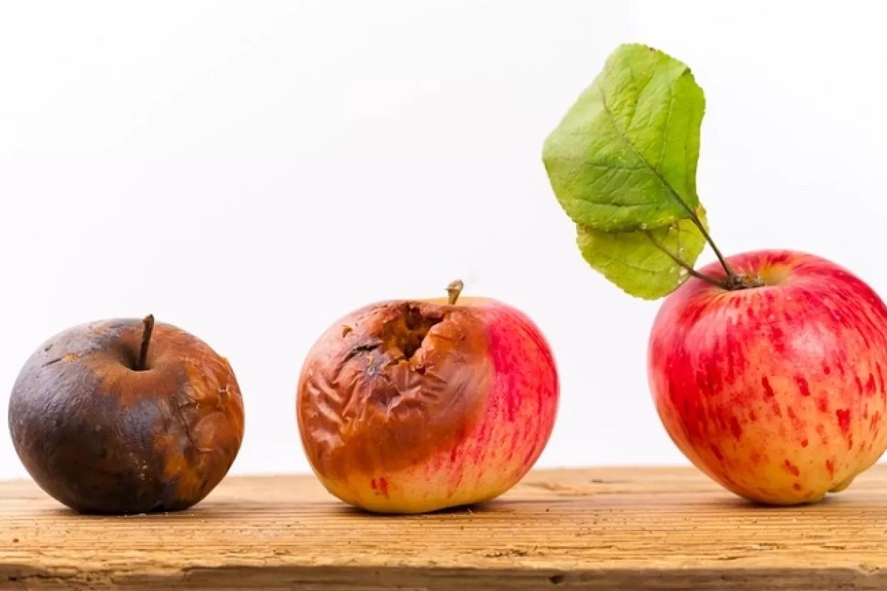 Potvrđena Liderova predviđanja: Smanjenje PDV-a pojeli trgovci i proizvođači