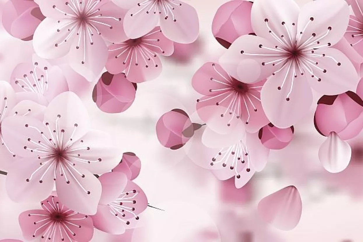 Pitanje je vremena kada će investitori uvidjeti da situacija na globalnom tržištu nije ružičasta