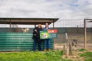 Pan i Lidl donirali više od 11 tona hrane skloništima za pse