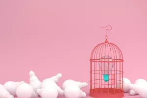 Liderovo istraživanje otkriva koje domaće brendove biste preporučili prijateljima