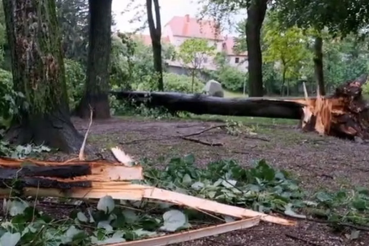 &Scaron;to učiniti kada vam na automobil padne stablo ili komad krova?