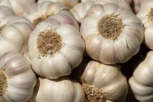 Svi američki poljoprivrednici pate zbog trgovinskog rata osim uzgajivača ove kulture