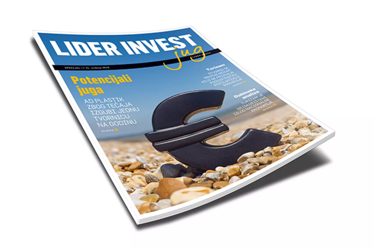 Lider invest jug - Dubinska gospodarska analiza 5 južnih županija