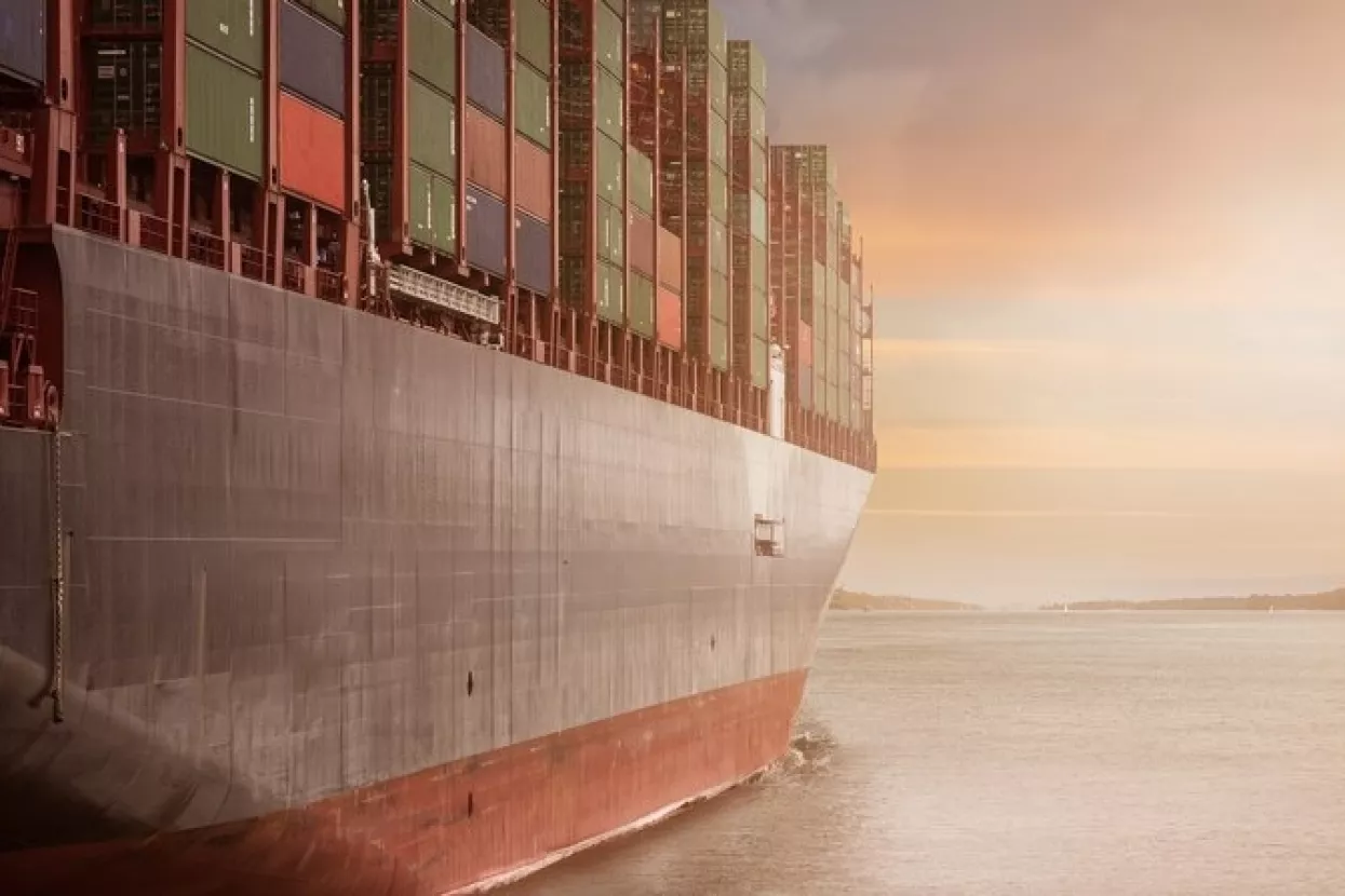 Miodrag &Scaron;ajatović: Ili će politika uvesti Rimčev izvozni model, ili će se osnivati nove udruge blokiranih