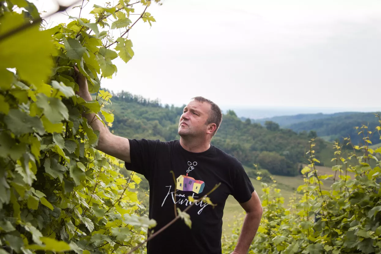 Vinarija Kurtalj ulaže 370 tisuća kuna u rekonstrukciju podruma