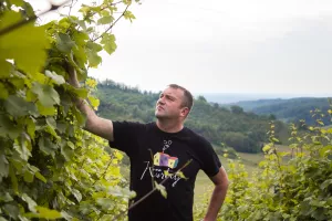 Vinarija Kurtalj ulaže 370 tisuća kuna u rekonstrukciju podruma