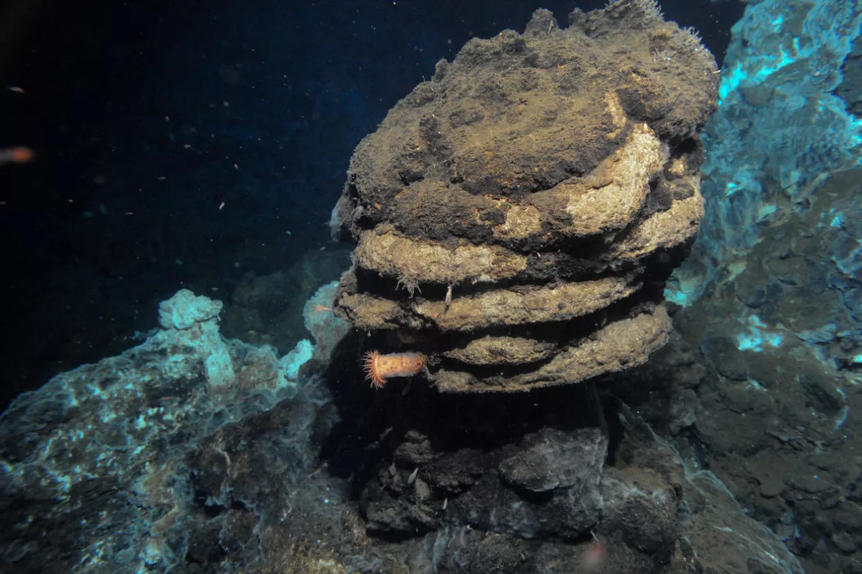 Tehnologija je ubrzala evoluciju teorije evolucije. Jeste li u toku, znate li uopće tko su eukarioti?