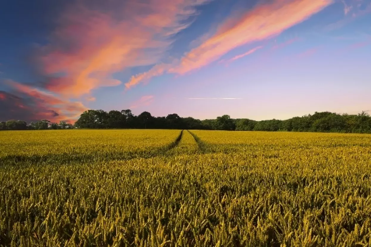 Više od 1,5 milijuna kuna potpora za 96 poduzetnika iz Osječko-baranjske županije