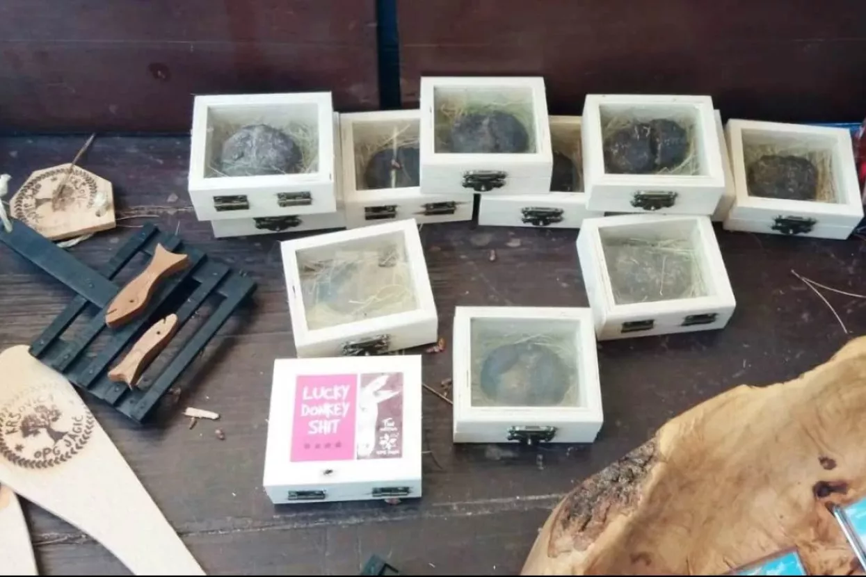 Poduzetno ljeto: Prodajemo maglu, buru, zrak, hladovinu i - 'Lucky donkey Shit'