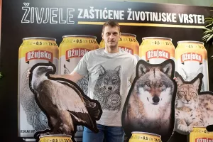 Ožujsko prikupilo 650.000 kuna za risa, vuka, dupina i bjeloglavog supa