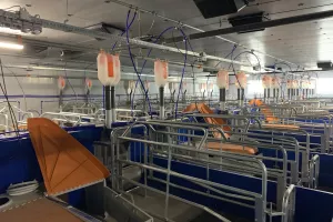 PIK Vinkovci Plus s 33,5 milijuna kuna obnovio opožarenu farmu Andrijaševci 2