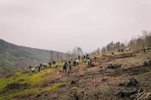 JYSK pokrenuo drugu fazu projekta „Ne štedi na šumi!“ za pošumljavanje Dalmacije