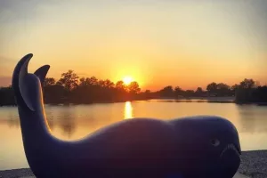 Tvrtke i karijere: Novi šefovi kluba Aquarius, Zadarkomerca, Osječke pivovare…