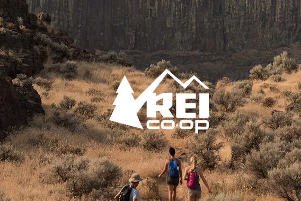 Sportski brendovi koji vladaju e-trgovinom više su od samog para tenisica