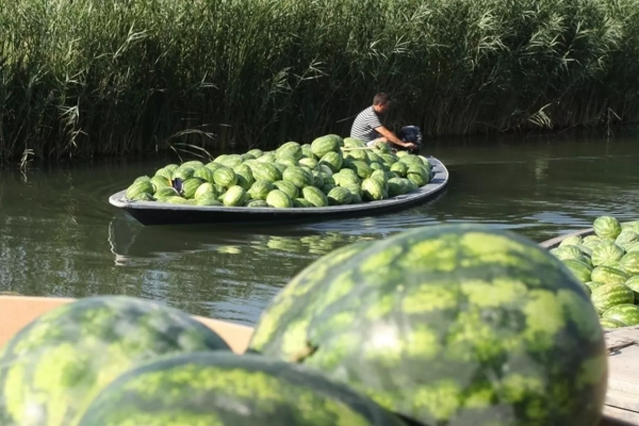 Do 3,5 milijuna kuna: Kazne AZTN-a šokantno visoke, ali ni jedna još nije plaćena