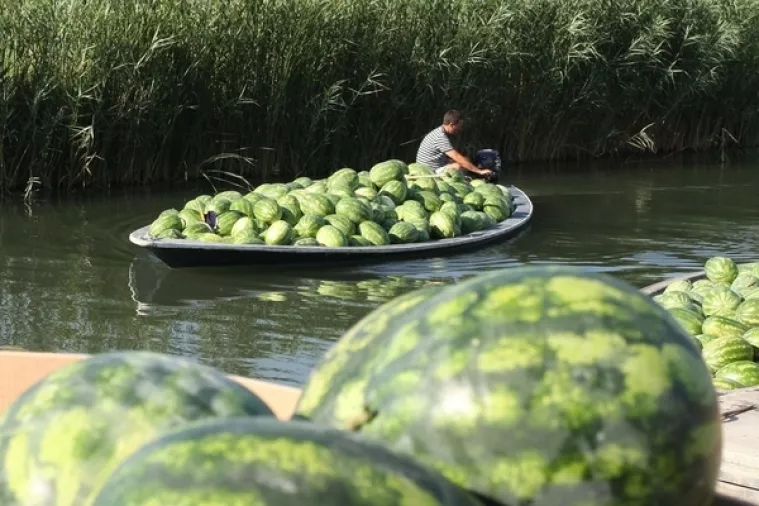 Do 3,5 milijuna kuna: Kazne AZTN-a šokantno visoke, ali ni jedna još nije plaćena