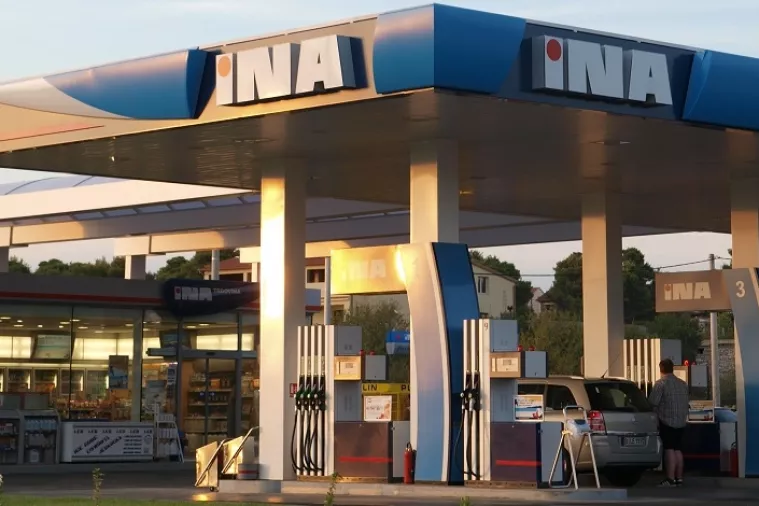 Ina otkriva može li se računati na biljku miskantus za ozbiljnu proizvodnju biogoriva