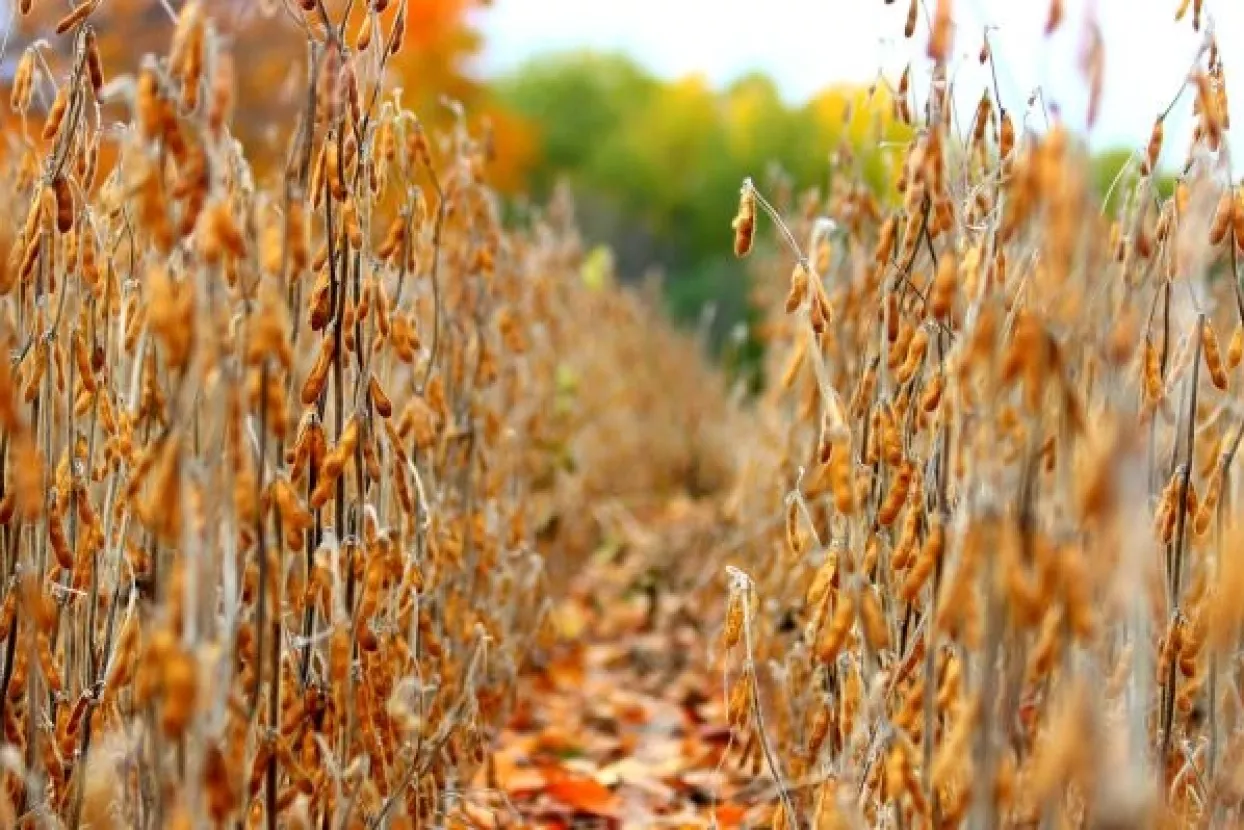 Iva Marđetko Mate&scaron;: Kako trgovinski rat, brexit i uragan Dorian utječu na trži&scaron;te robe