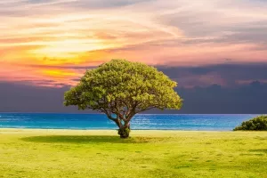 10 fotografija iz Hrvatske u izboru za kalendar Svjetske meteorološke organizacije