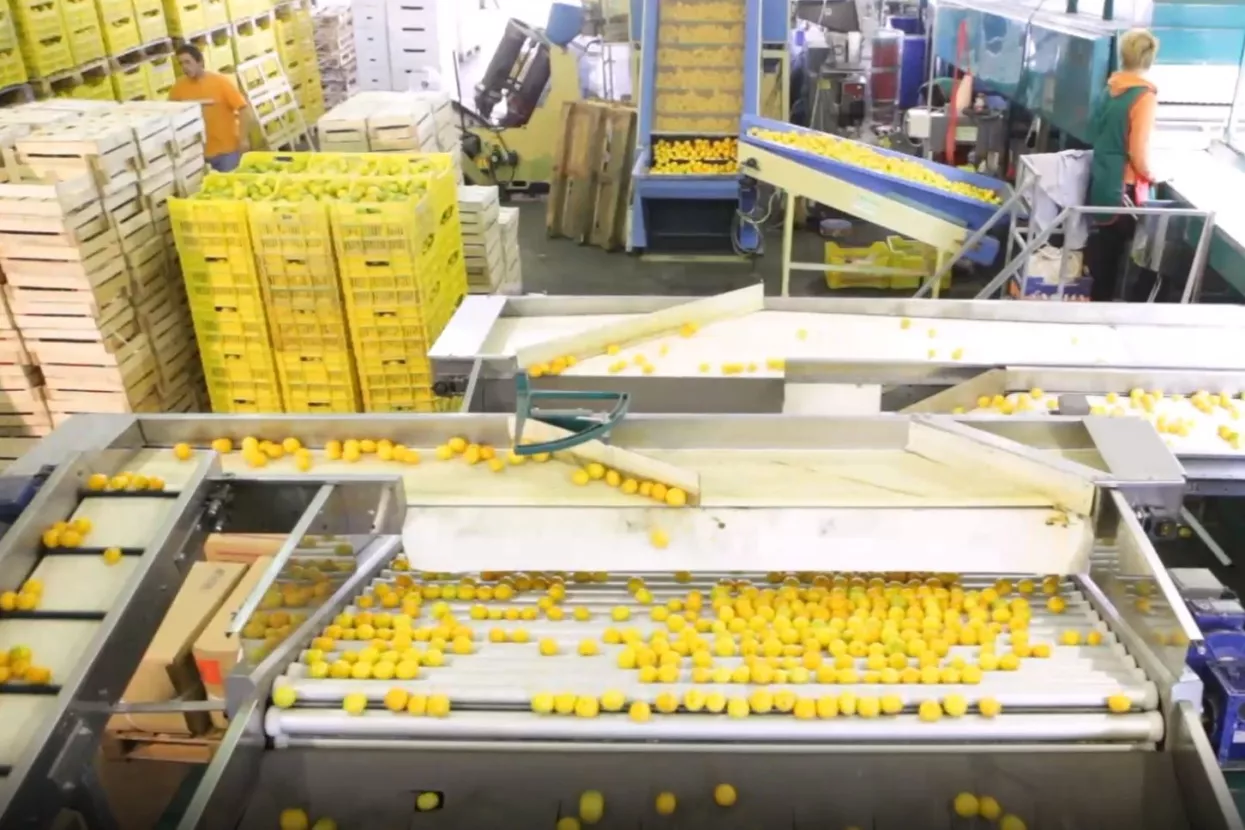 Mandarinski vrtuljak: Katica Posavac preuzela Vagros Zagreb od Vlade Duspare