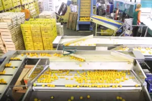 Mandarinski vrtuljak: Katica Posavac preuzela Vagros Zagreb od Vlade Duspare