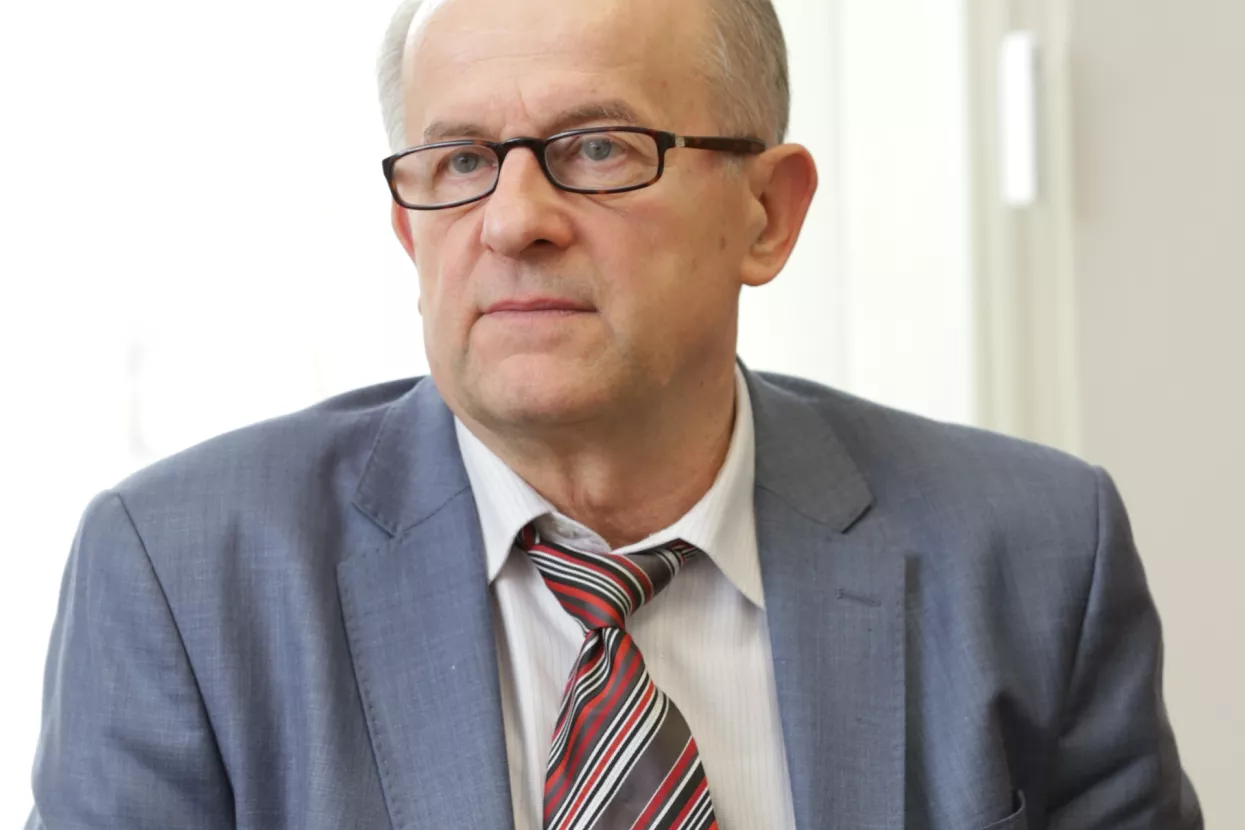 Na prodaju sto tisuća tona sječke